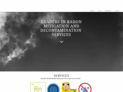 307environmental.com snapshot