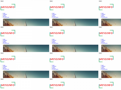 mesoinfo.net snapshot