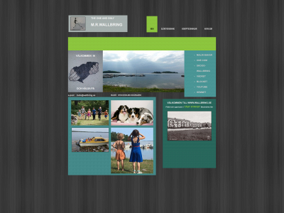 wallbring.se snapshot