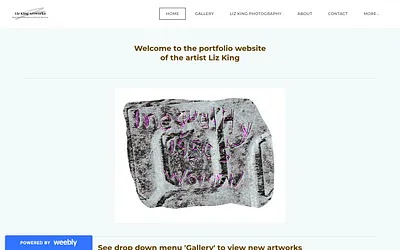 lizkingfineart.weebly.com snapshot