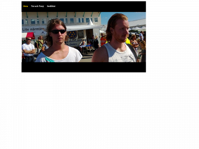 stray.se snapshot