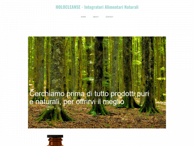 www.holocleanse.com snapshot