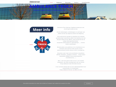 taxitroch.com snapshot