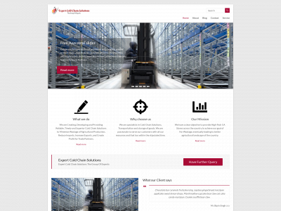 expertcoldchainsolutions.com snapshot