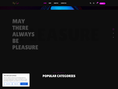 playsir.house snapshot
