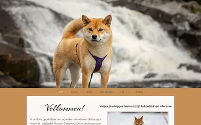 nordiclegacy.no snapshot