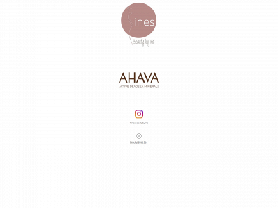 ines.be snapshot
