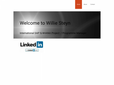 williesteyn.com snapshot