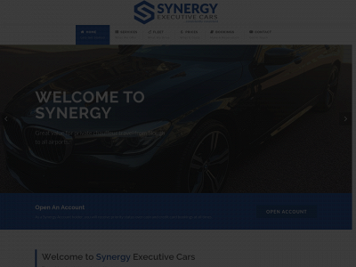 synergycars.co.uk snapshot