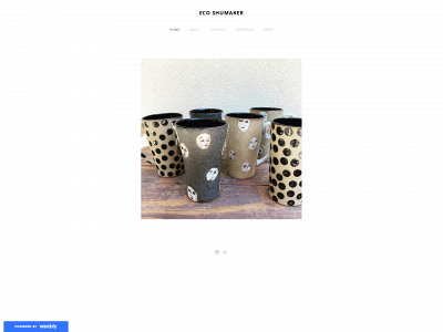 www.ecoshumaker.com snapshot