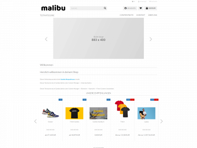 bengo.ch snapshot