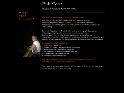 p-di-care.be snapshot