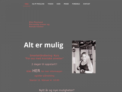 ptpinslund.no snapshot