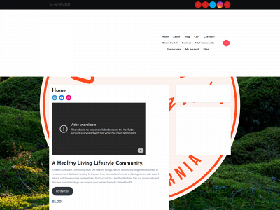 hltlifestyle.com snapshot