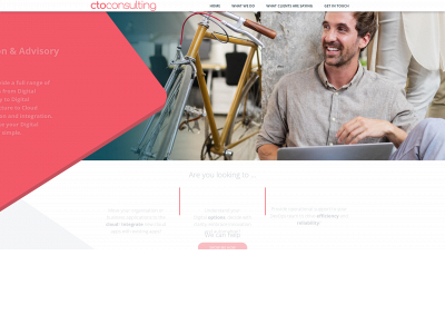 ctoconsulting.com.au snapshot