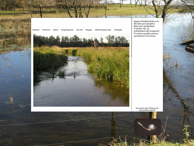 ringivefluefiskerklub.dk snapshot