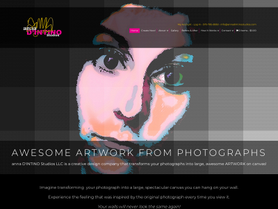 annadintinostudios.com snapshot