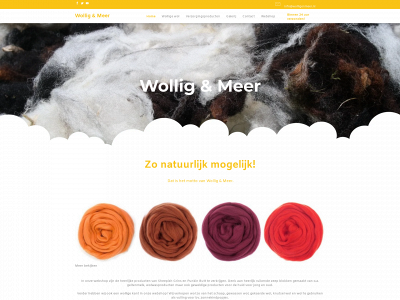 wolligenmeer.nl snapshot