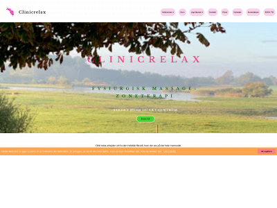clinicrelax.dk snapshot