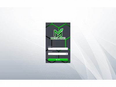 metaone1.biz snapshot