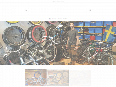 riricykel.se snapshot