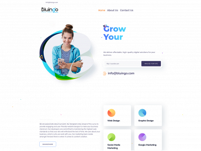 bluingo.com snapshot
