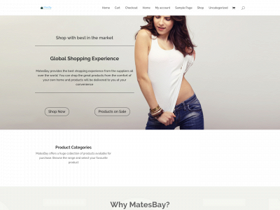 matesbay.com snapshot