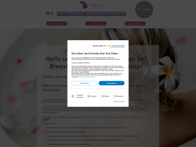 breastimplantillness.de snapshot