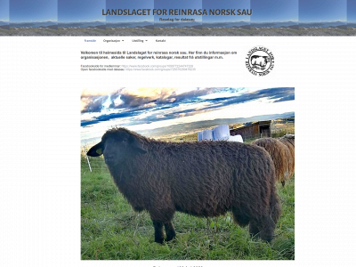 reinrasasau.com snapshot