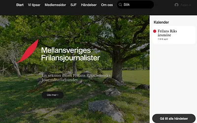 msfj.se snapshot