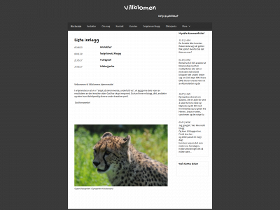 villblomen.com snapshot