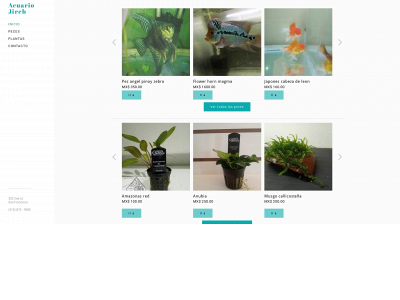 acuariojireh.weebly.com snapshot