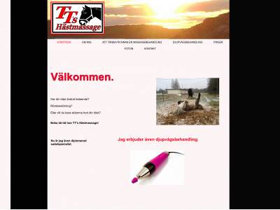 ttshastmassage.se snapshot