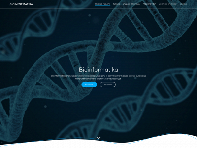 bioinformatika.lt snapshot
