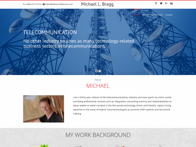 michaellbragg.com snapshot