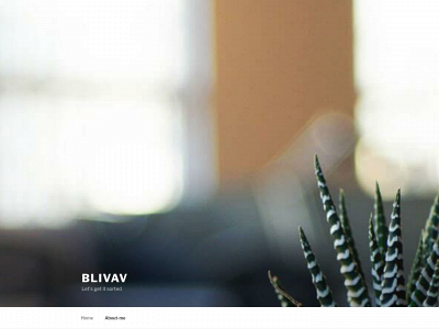 blivav.com snapshot