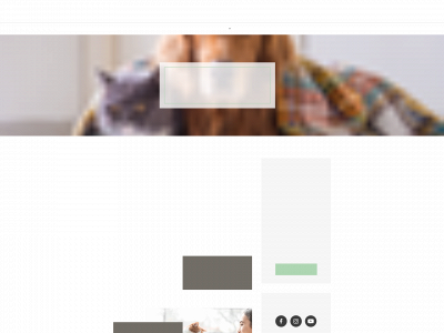 1stmiles.co.uk snapshot