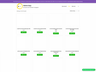 salonezayy.com snapshot
