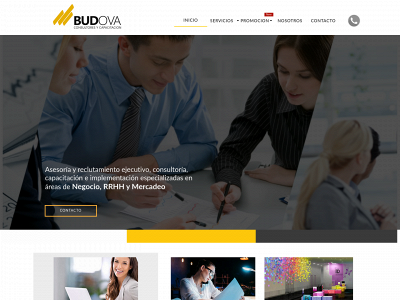 budovaint.com snapshot