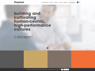 perpetualinsights.com snapshot