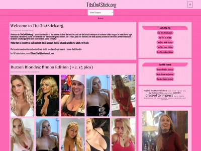 titsonastick.org snapshot