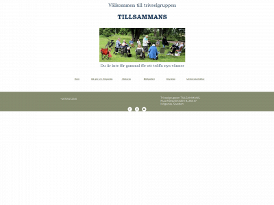 trivselgruppentillsammans.se snapshot
