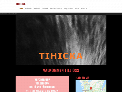 tihicka.weebly.com snapshot