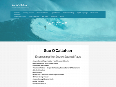 sueocallahan.com snapshot