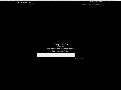 tboss.ironvalleyrealestate.com snapshot