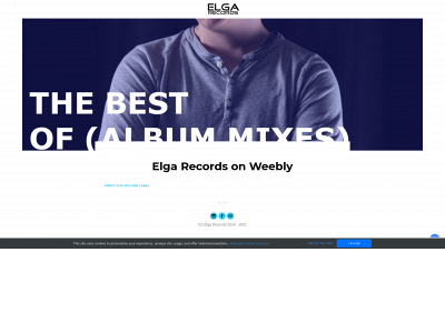 elgarecords.weebly.com snapshot
