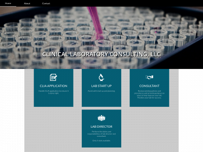 clinical-lab-consulting.com snapshot