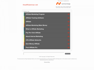 www.theaffiliateman.net snapshot
