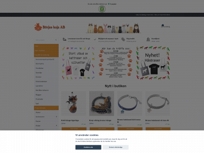borjeskoja.com snapshot