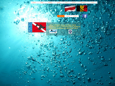 buceogavilana.com snapshot